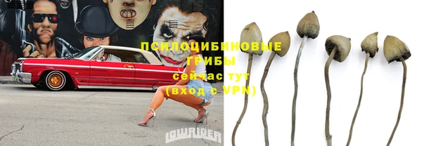 мескалин Аркадак